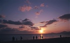 dailyPhoto6