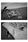 dailyPhoto6