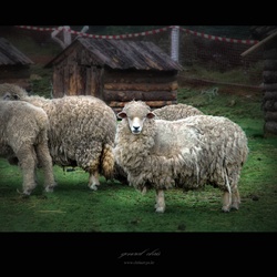 dailyPhoto34