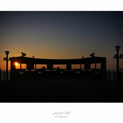 dailyPhoto15
