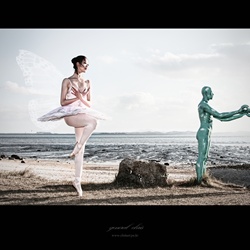 dailyPhoto7