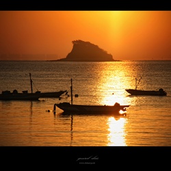 dailyPhoto33