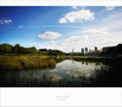 dailyPhoto1
