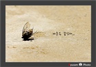dailyPhoto40