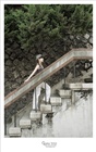 dailyPhoto40