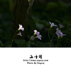 dailyPhoto35