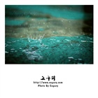 dailyPhoto4