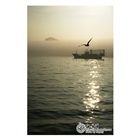 dailyPhoto11