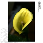 dailyPhoto5