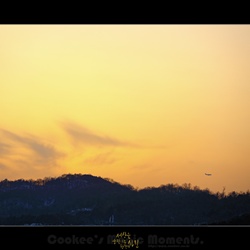 dailyPhoto5