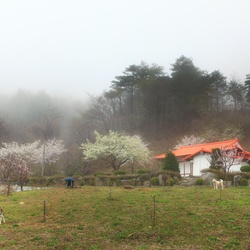 dailyPhoto11