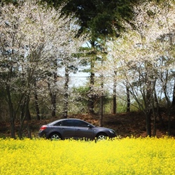 dailyPhoto9