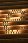 dailyPhoto9