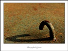 dailyPhoto5
