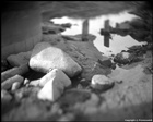 dailyPhoto6
