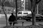 dailyPhoto40