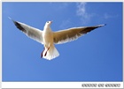dailyPhoto8