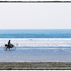 dailyPhoto5