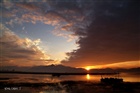 dailyPhoto7