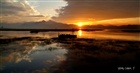 dailyPhoto20