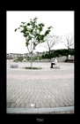 dailyPhoto5