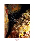dailyPhoto9