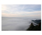 dailyPhoto7