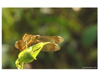 dailyPhoto6