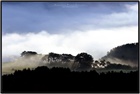 dailyPhoto35