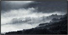 dailyPhoto19