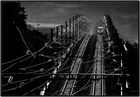 dailyPhoto35