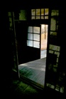 dailyPhoto21