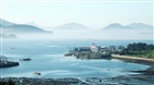dailyPhoto8