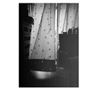 dailyPhoto36