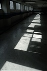 dailyPhoto3