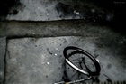 dailyPhoto6