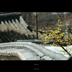 dailyPhoto26