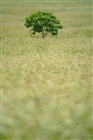 dailyPhoto14