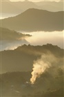 dailyPhoto31