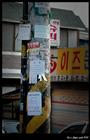 dailyPhoto35