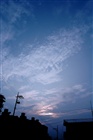 dailyPhoto1