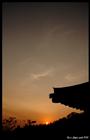 dailyPhoto6
