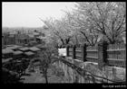 dailyPhoto3