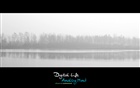 dailyPhoto26