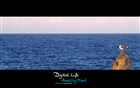 dailyPhoto27
