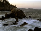 dailyPhoto40