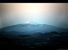 dailyPhoto7