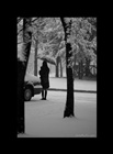 dailyPhoto31