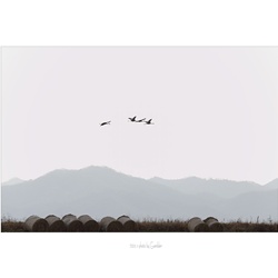 dailyPhoto33