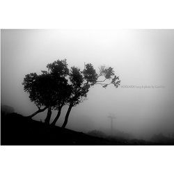 dailyPhoto25